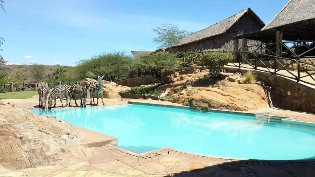 Man Eaters Lodge